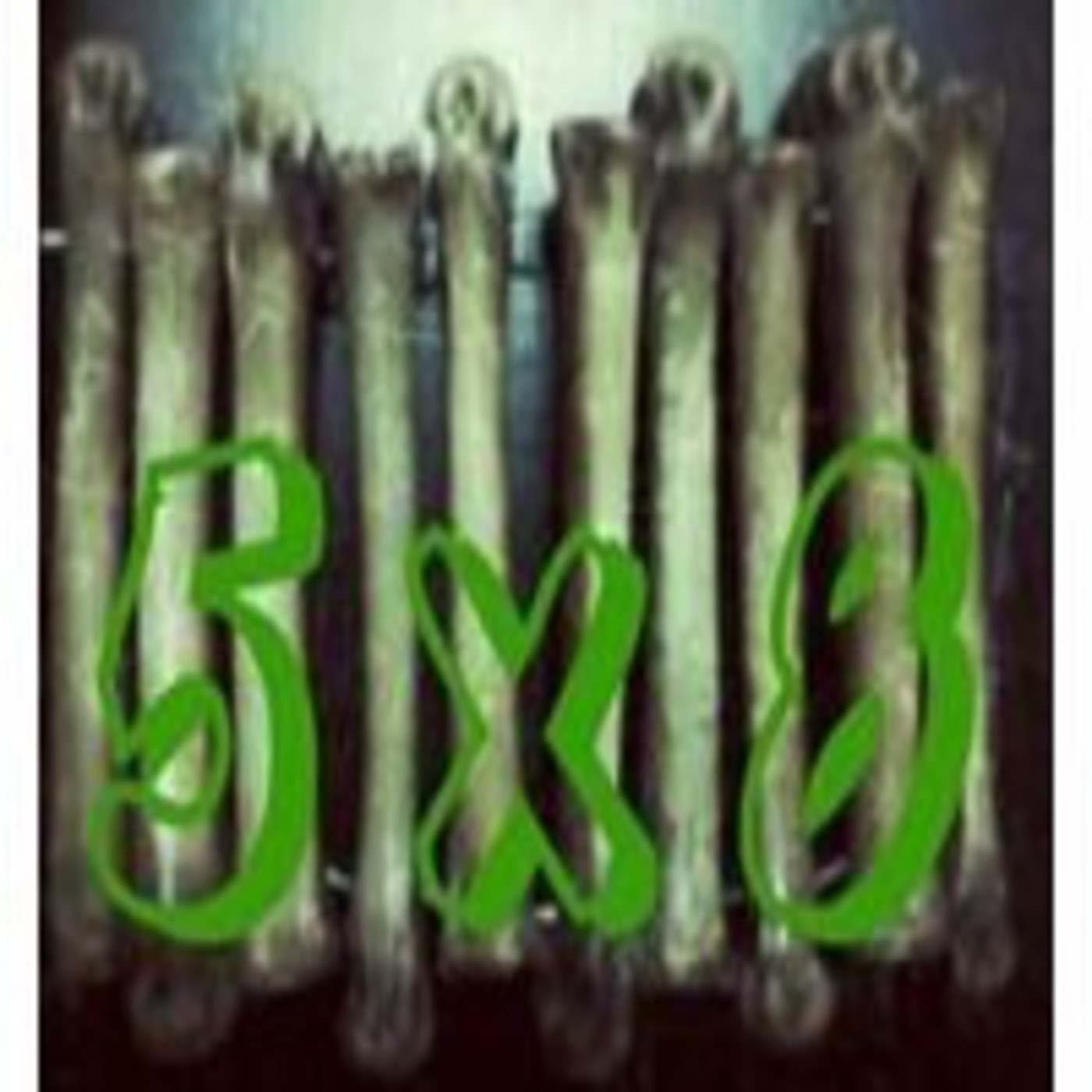5 x 8