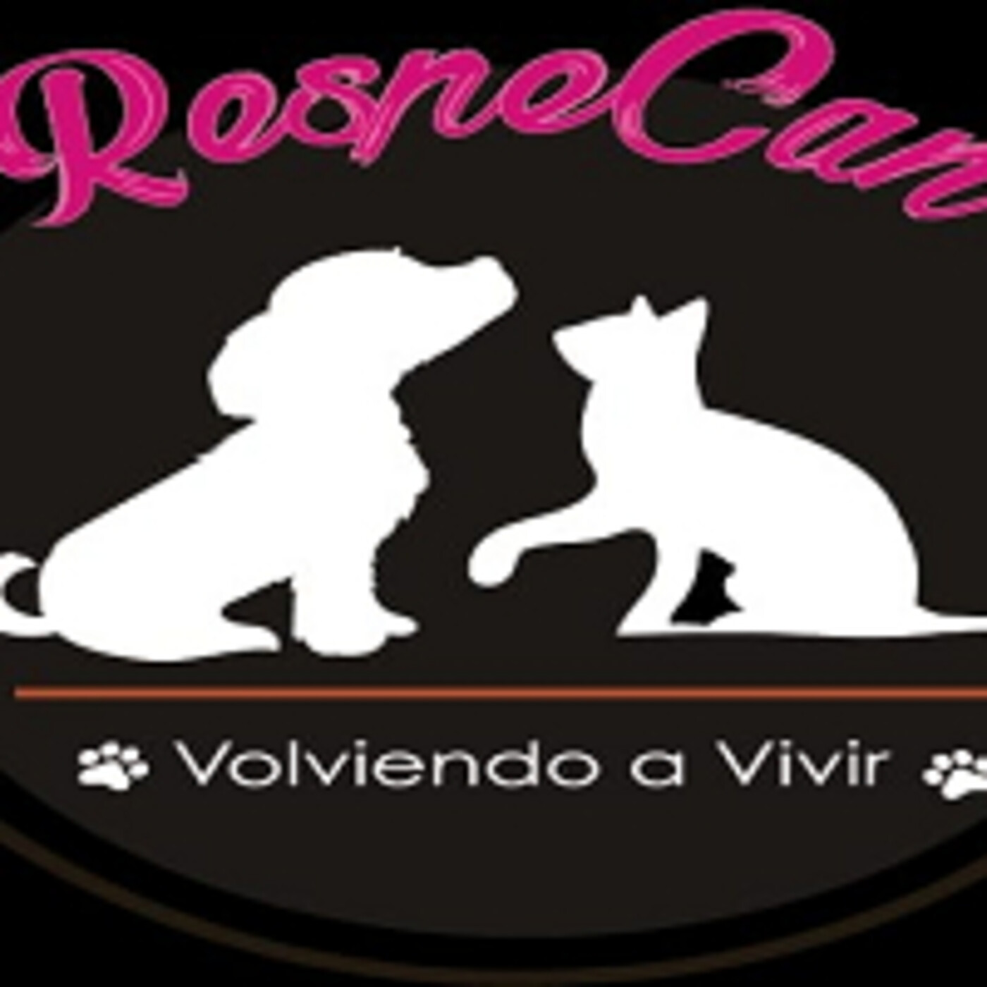 RespeCan 100921 p154