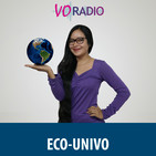 Programa 6 - 2017