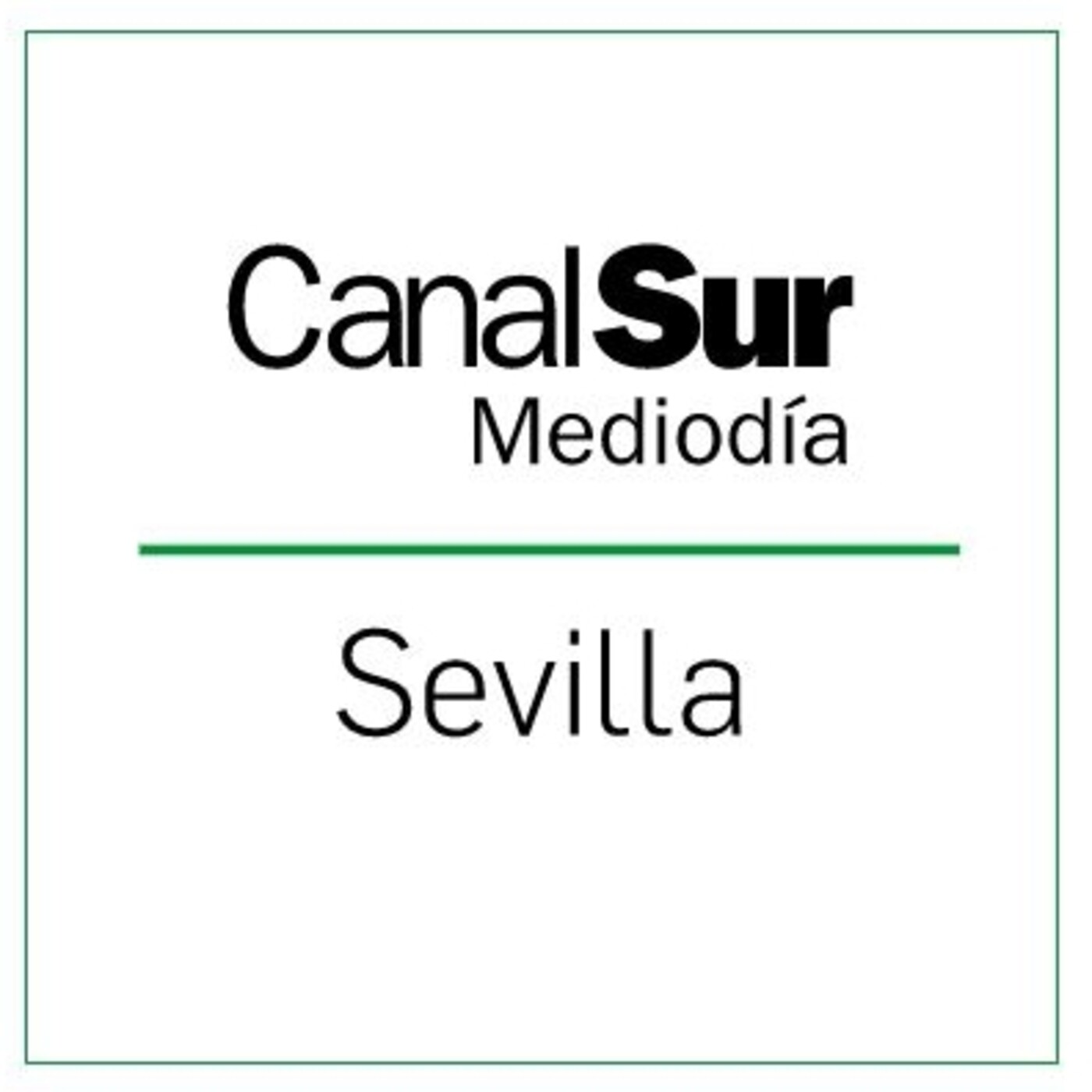 Regata Sevilla-Betis de remo