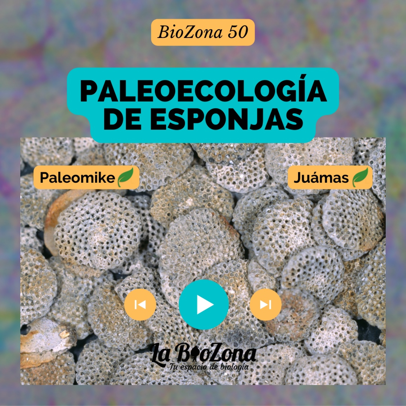 Biozona 50. Paleoecología de esponjas episode artwork