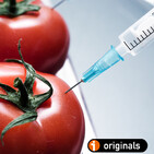 Aditivos alimentarios, con la Dra Naroa Kajarabille