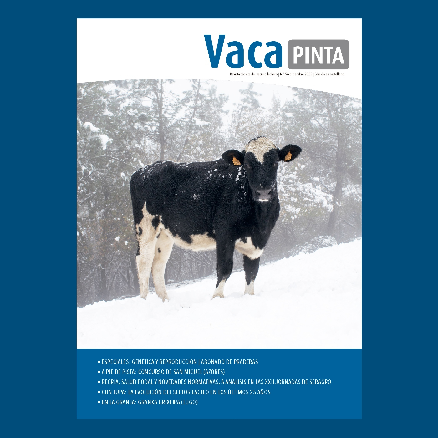 Presentación de Vaca Pinta 56
