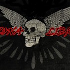 entrevista roberto olea