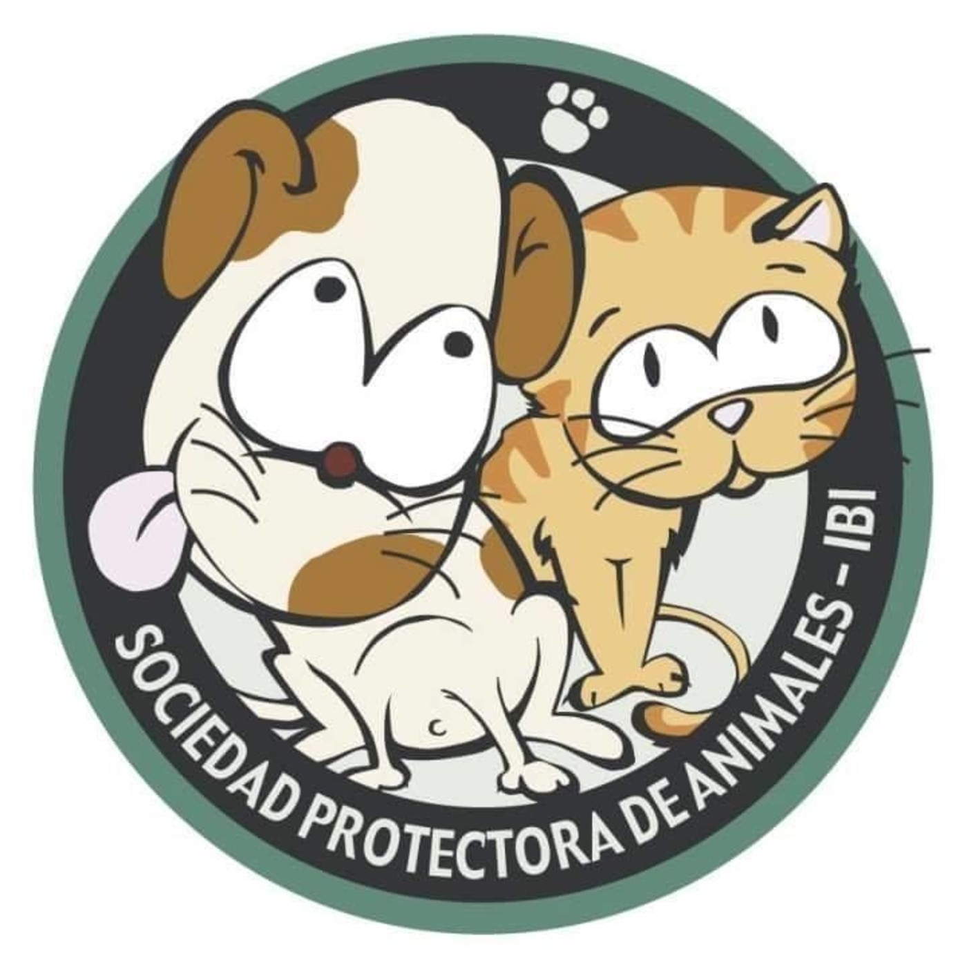 Entrevista Asoc Protectora de Animales Ibi 14,10,19 laFRESCAFM episode artwork