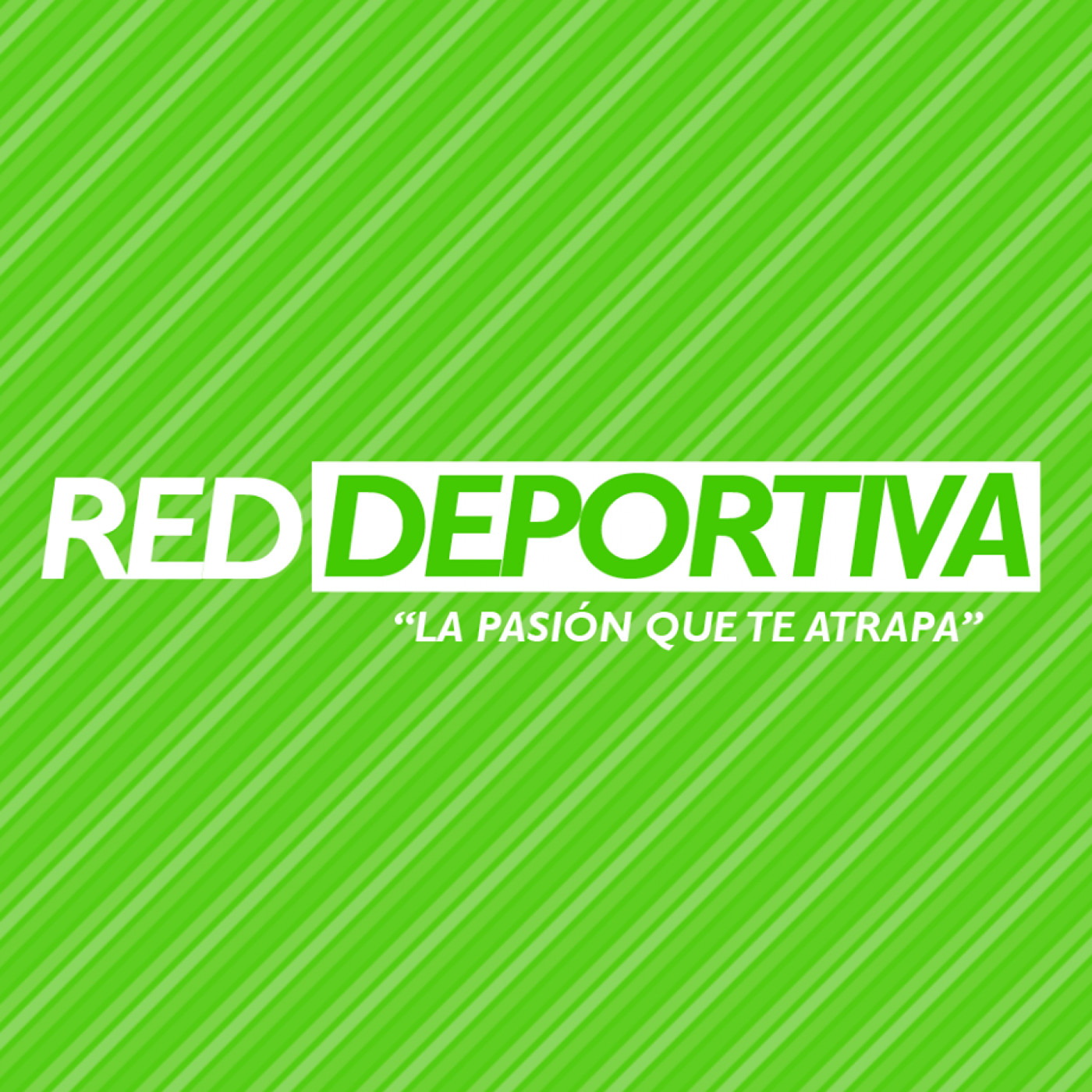 Partidos PrimeraB