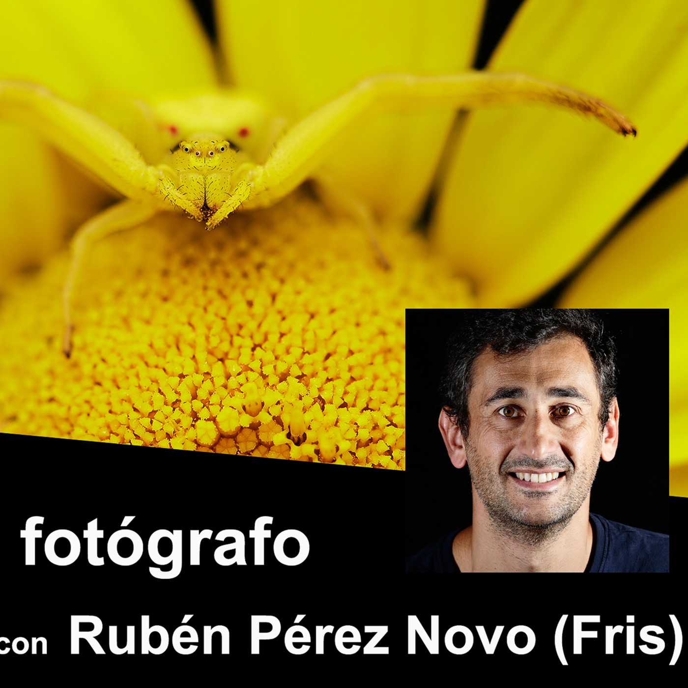 Frente al fotógrafo