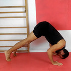 279. Cómo hacer flexiones en pica