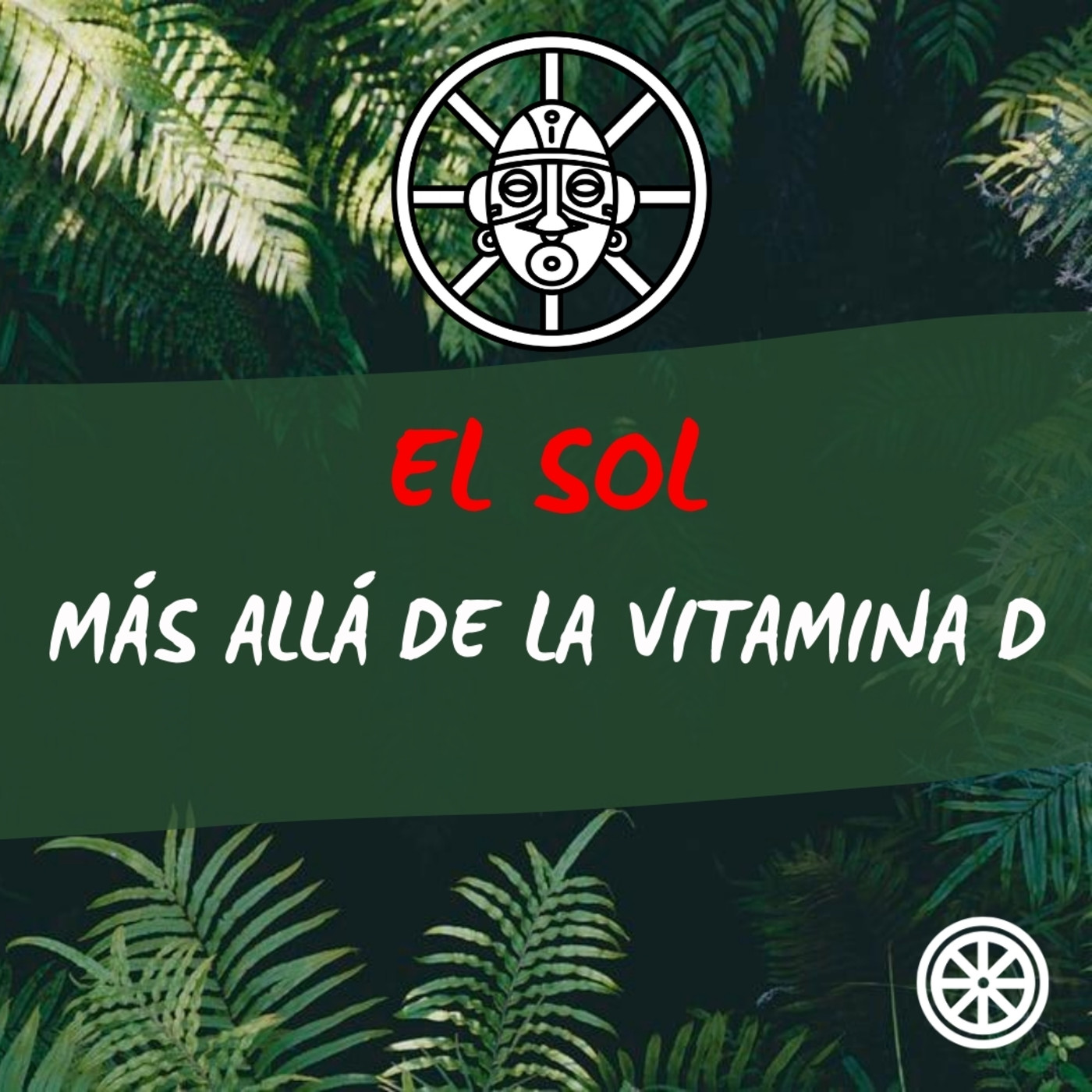 La Raíz