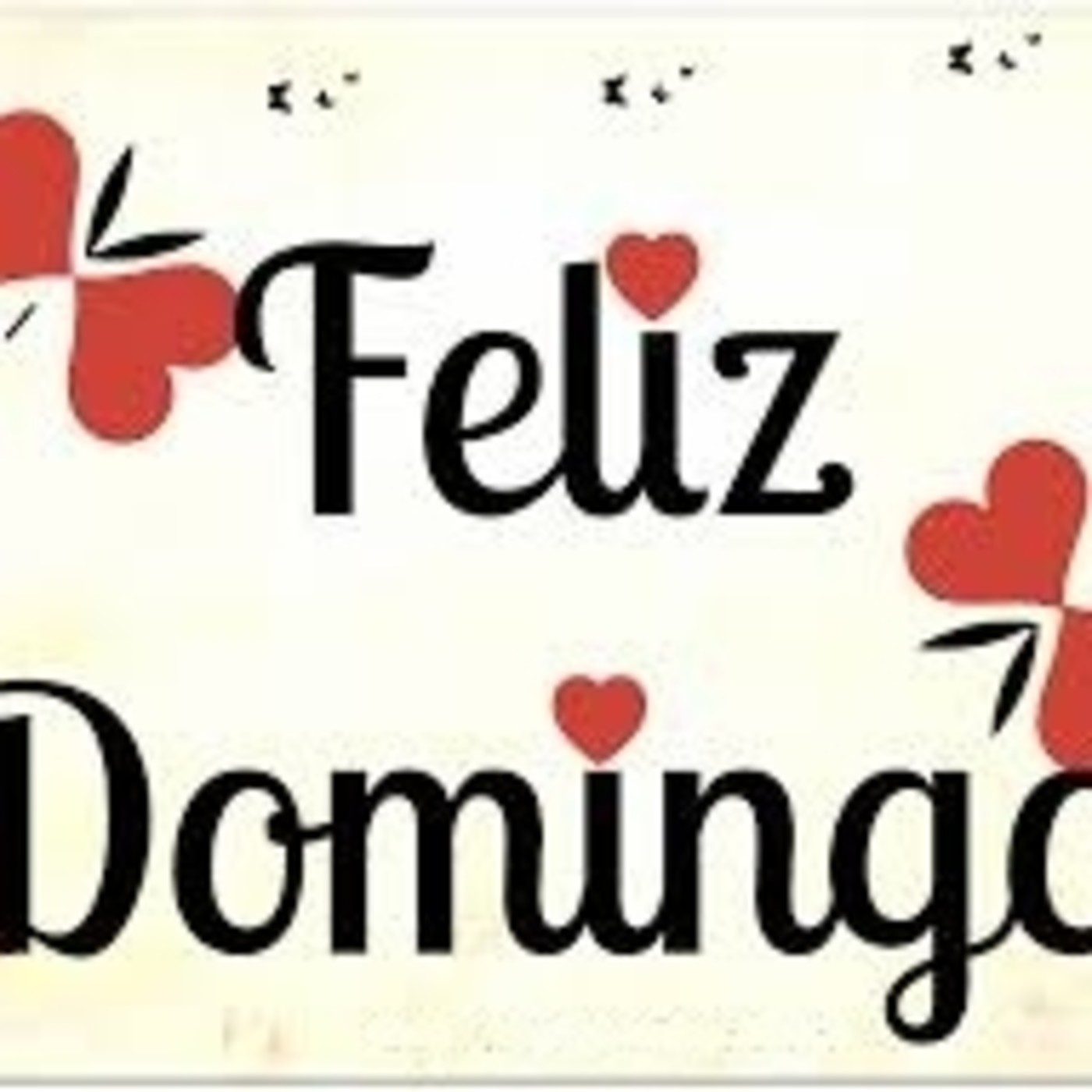Feliz Domingo