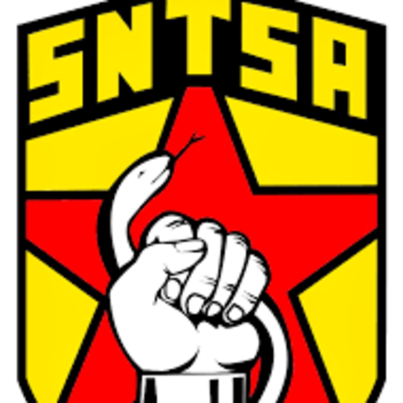 SNTSA Sección XXV