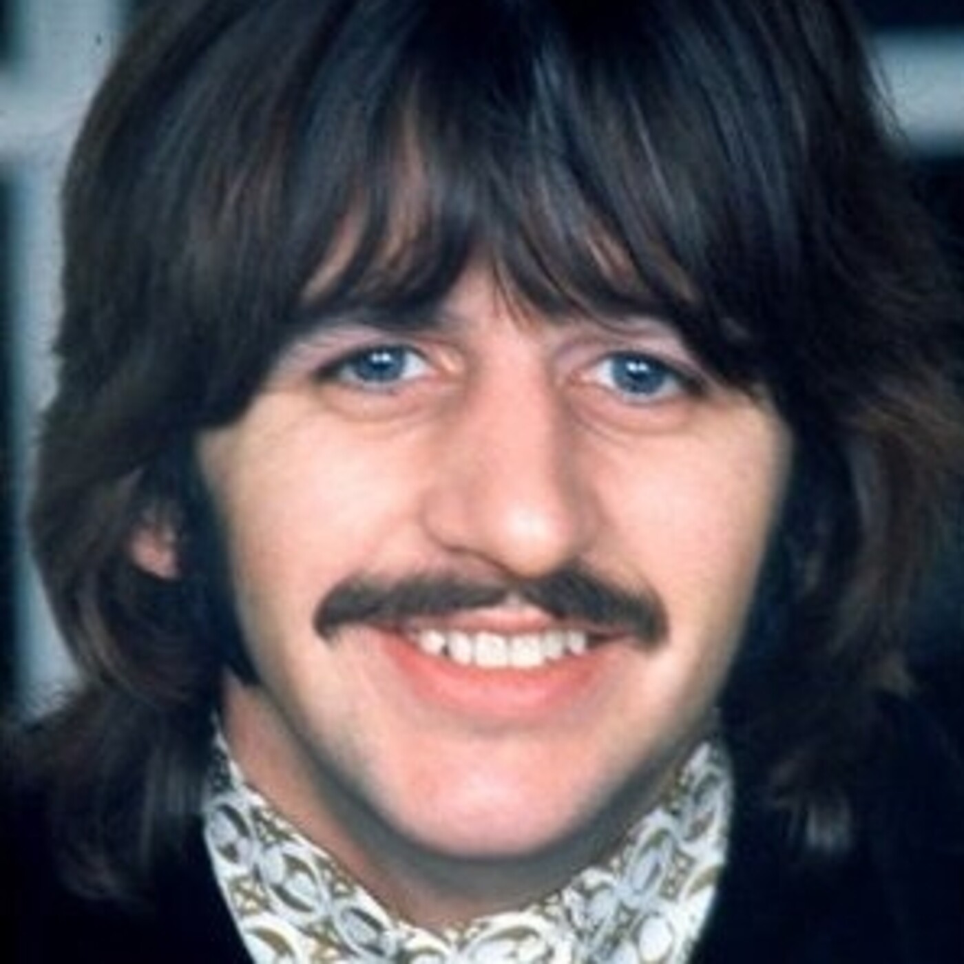 Proyecto Beatle
