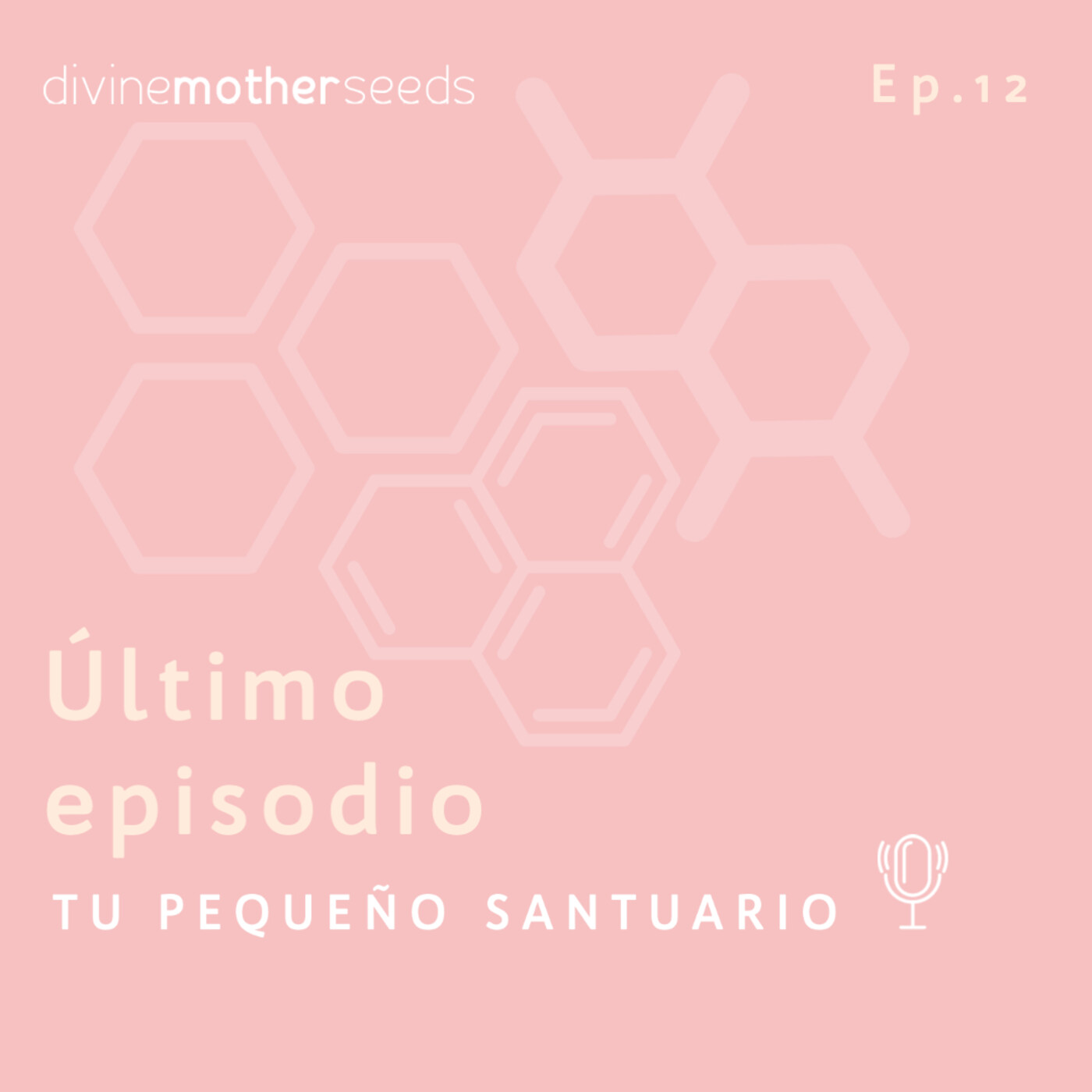 12. Último Episodio