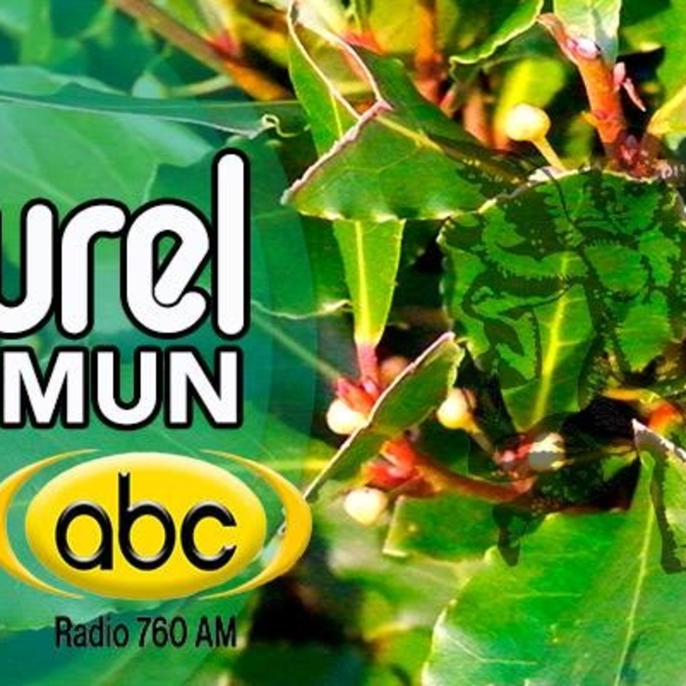 El Ángel de tu Salud - LAUREL COMÚN