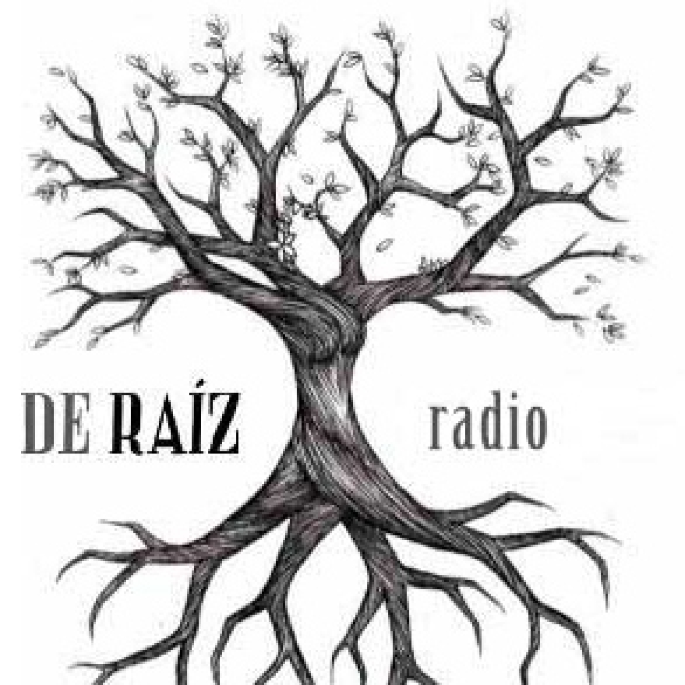 De Raíz Radio