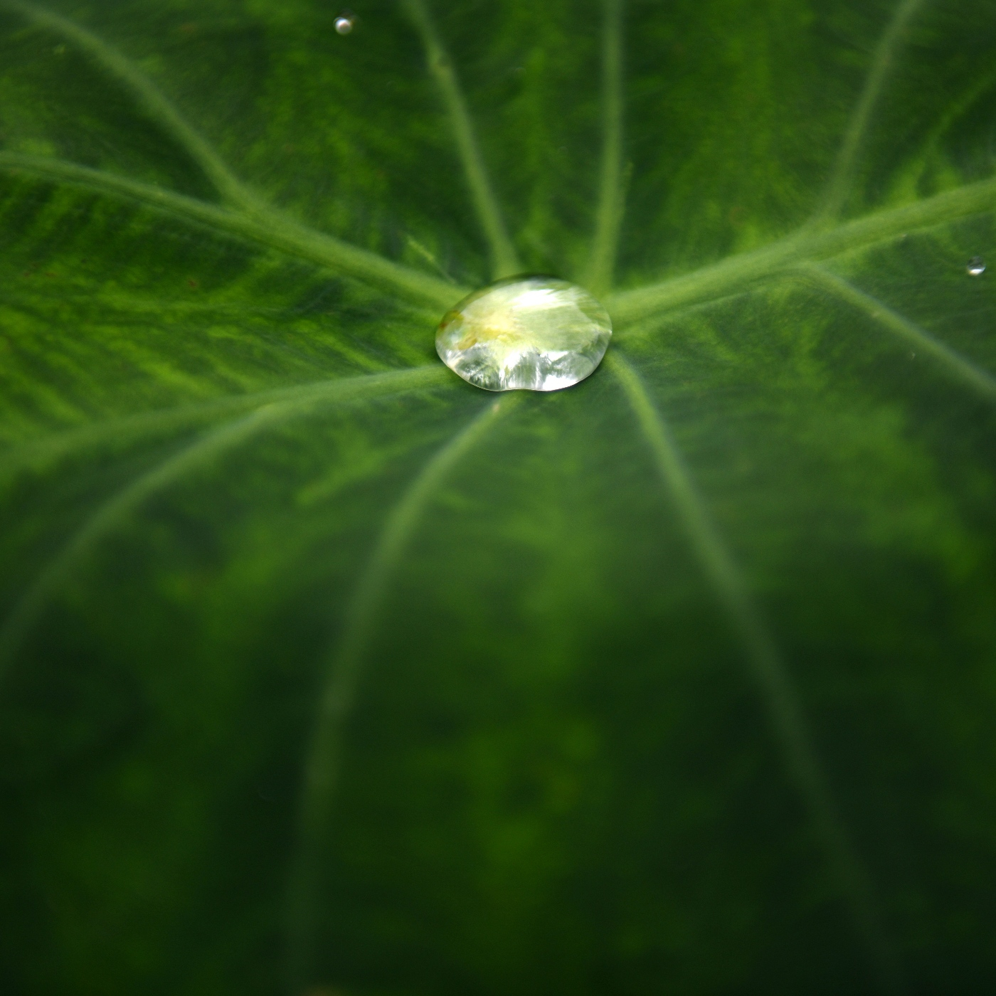 Fotciencia18
