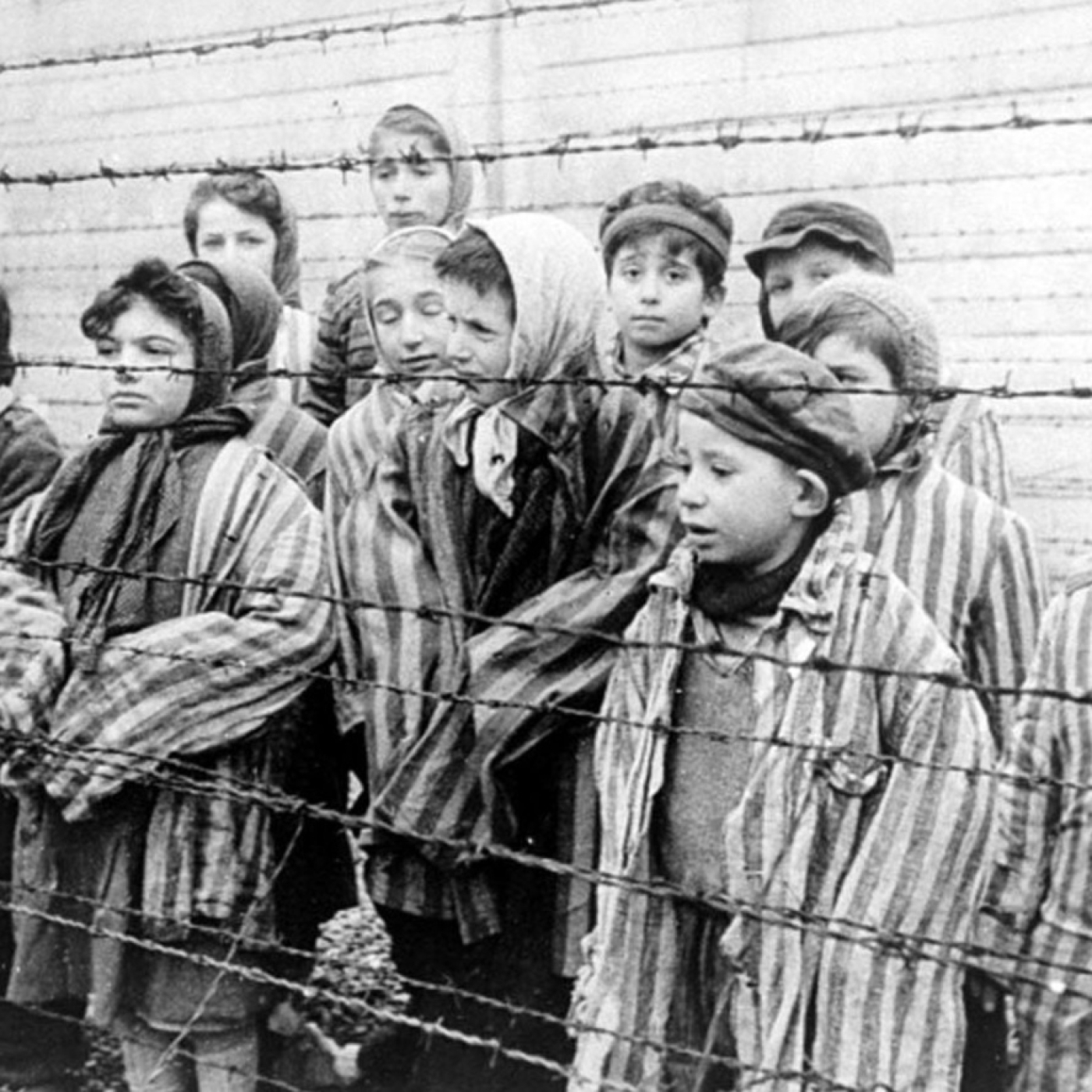 AUSCHWITZ EN 33 OBJETOS (cap 3) #documental #historia #nazismo #podcast episode artwork