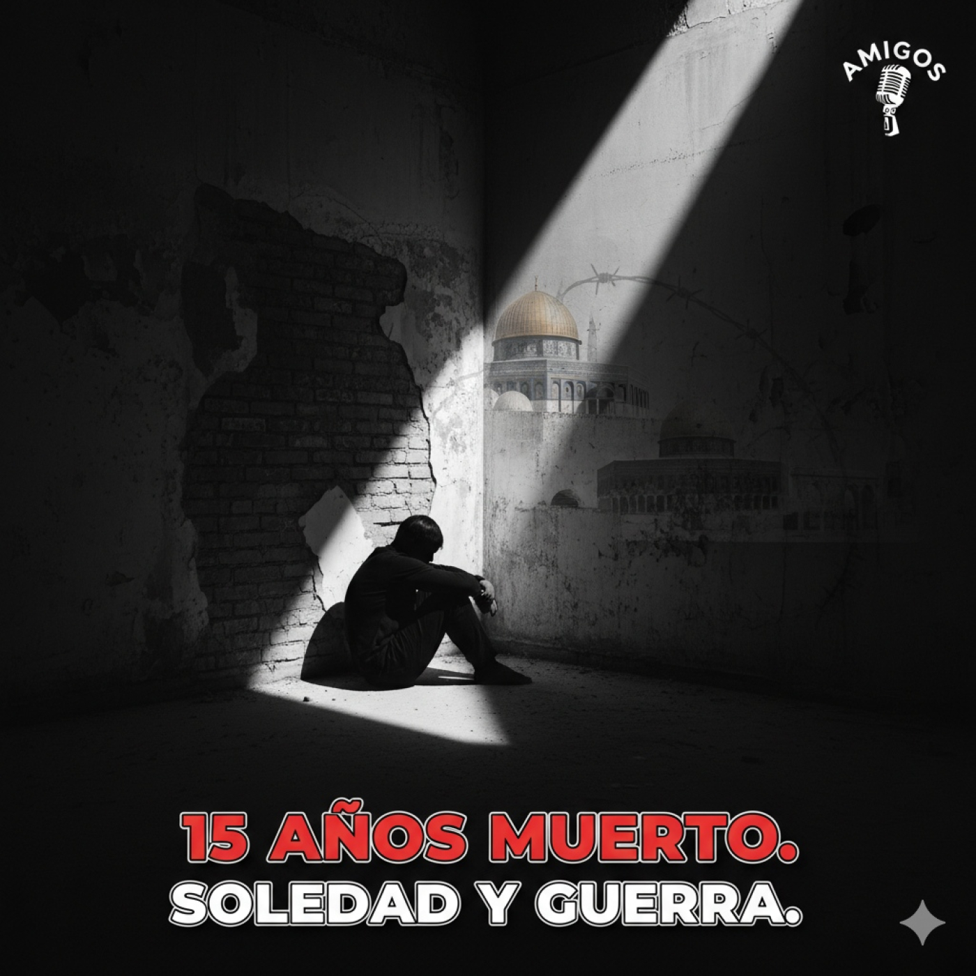 Amigos en Radio Solidaria