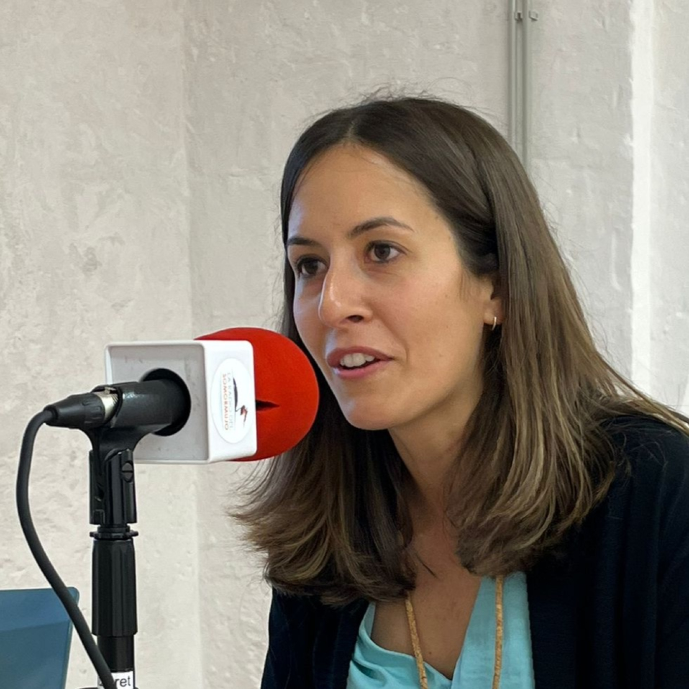 La Radio del Somormujo