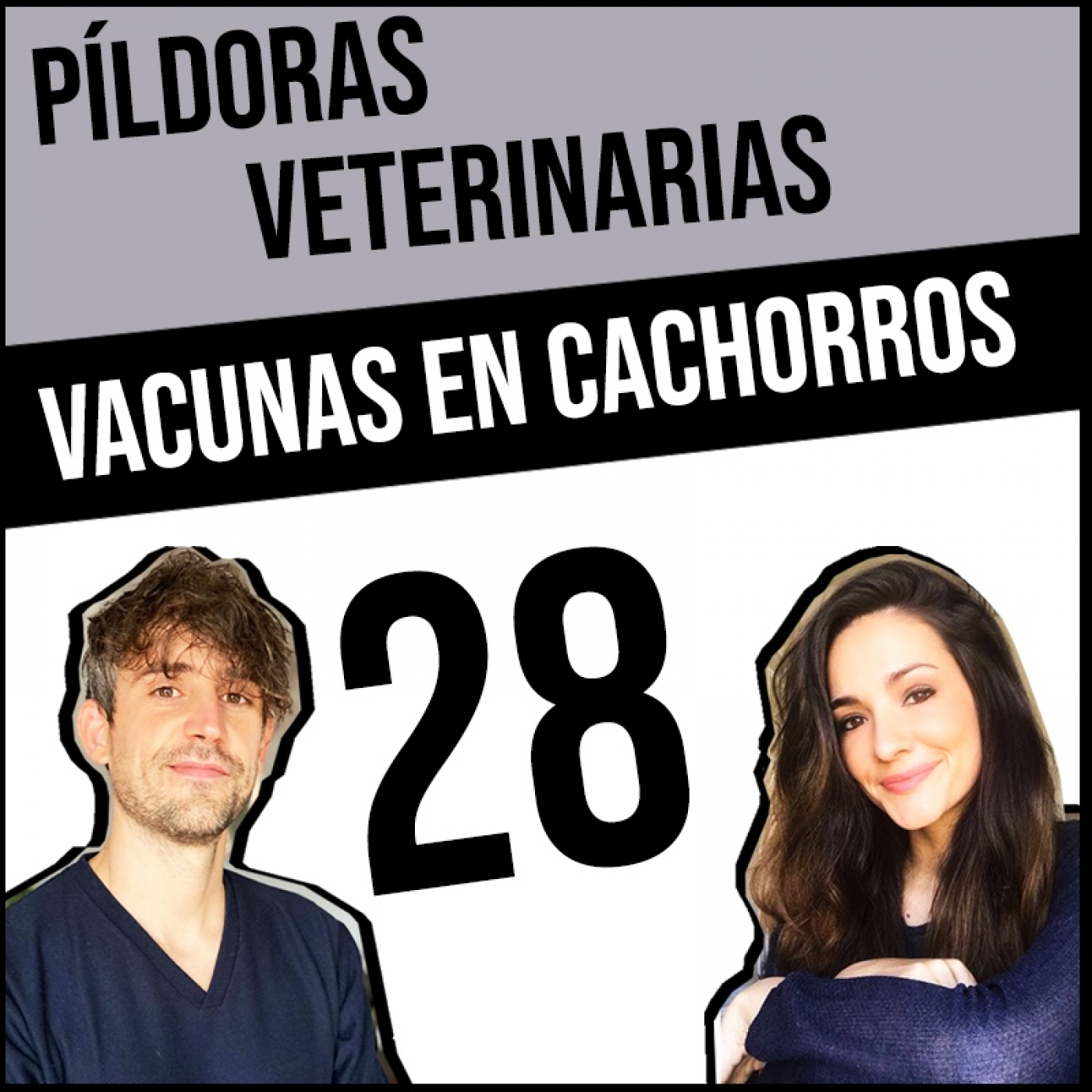 Píldoras Veterinarias