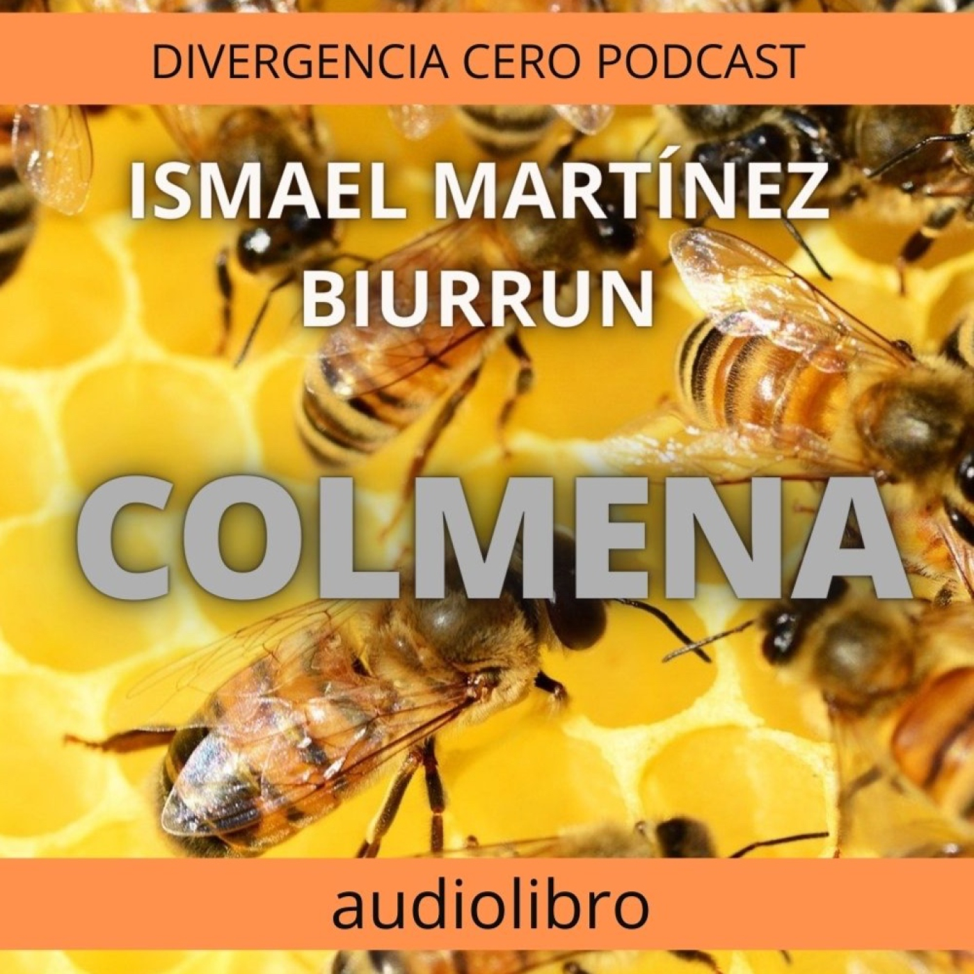 DIVERGENCIA CERO
