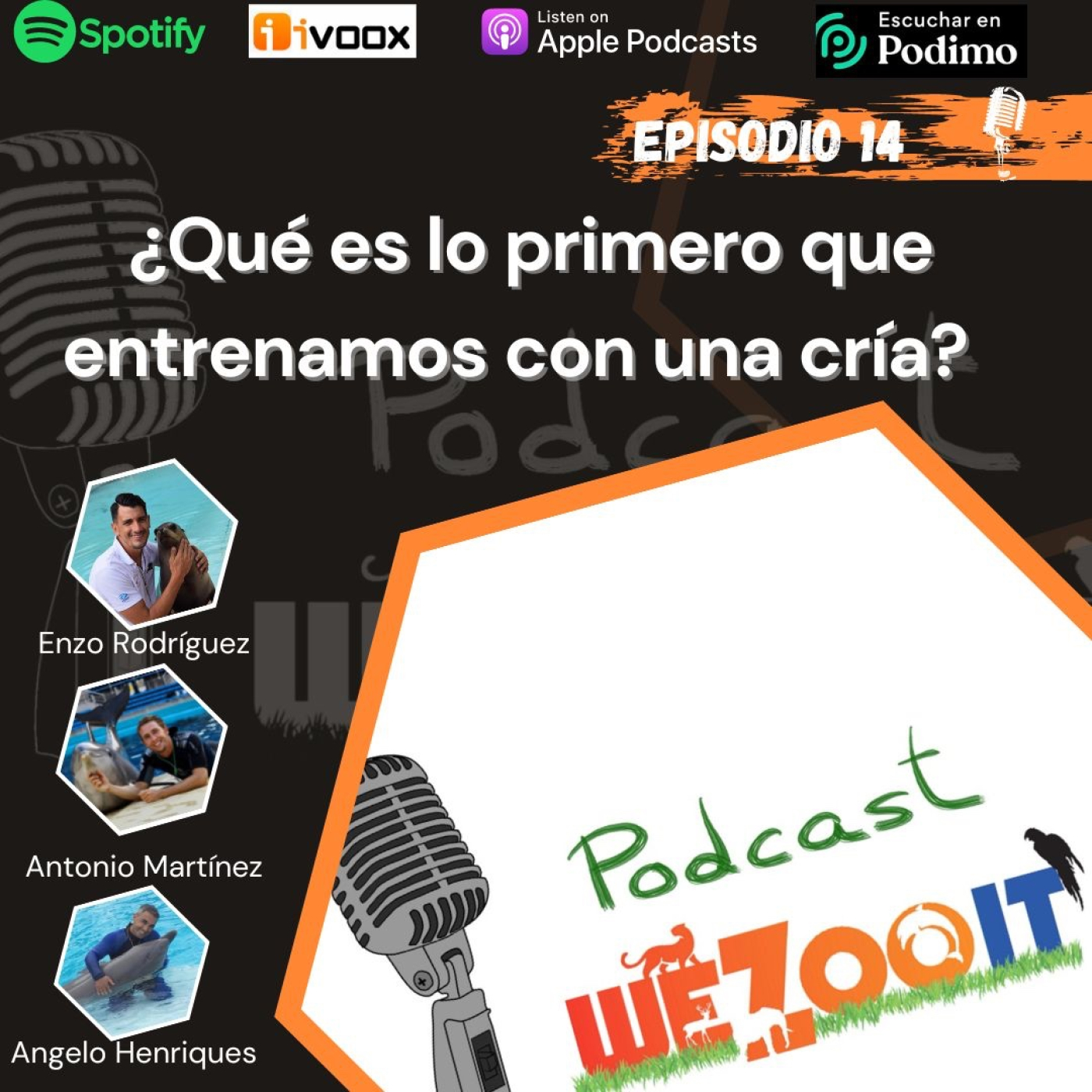 WeZooit Podcast