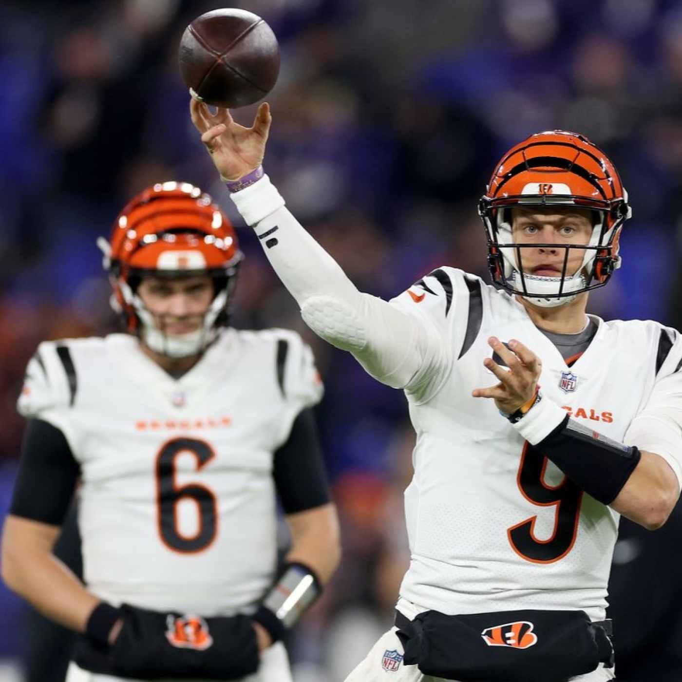 La Jungla Hispana - Bengals.es