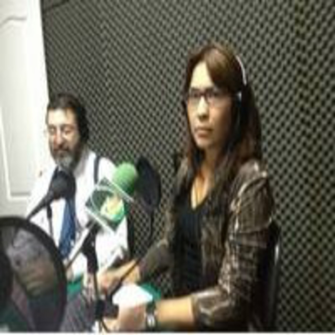 Difusión interpretación simultánea profesional