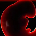 La conspiracion del aborto