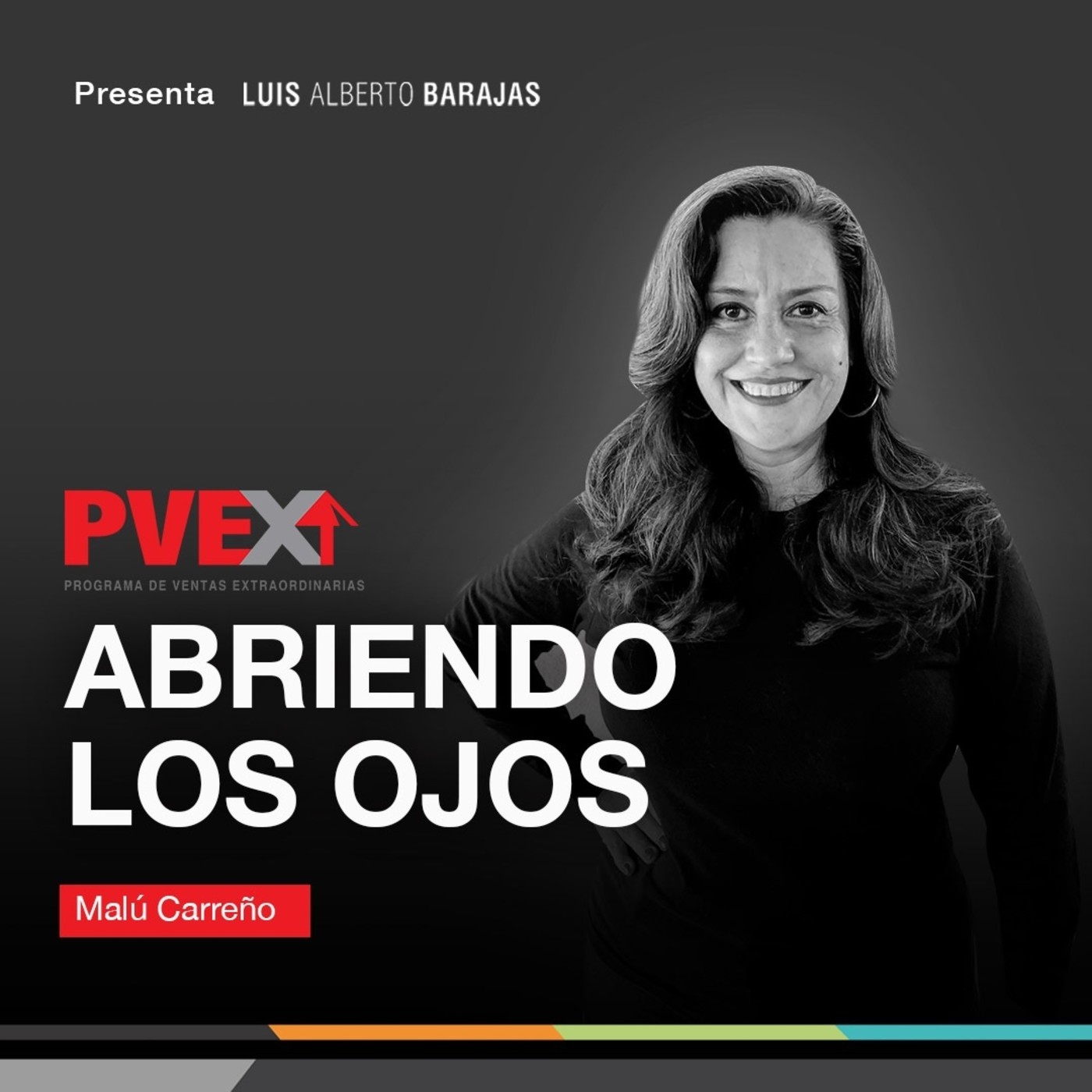 Programa de Ventas Extraordinarias (PVEX)