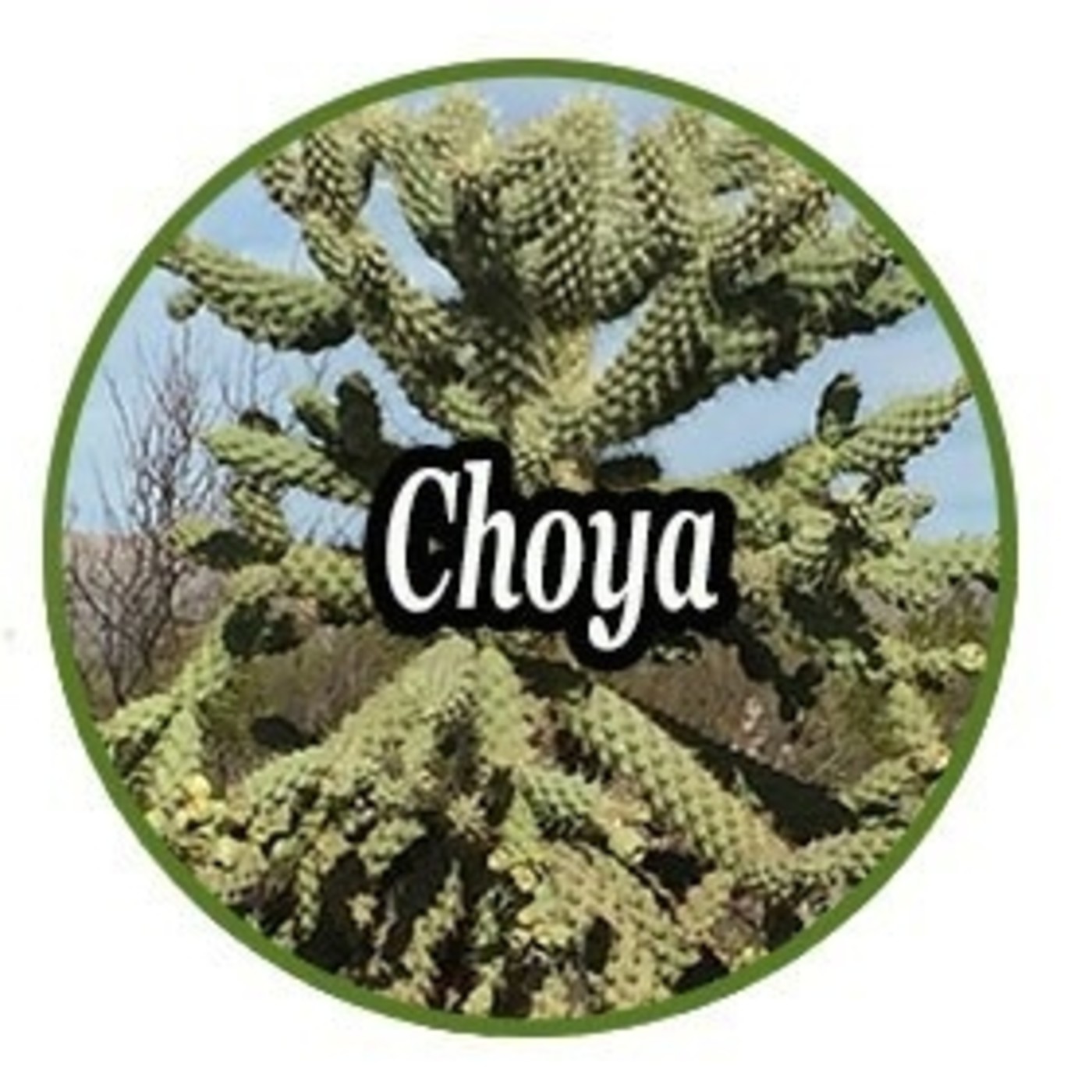 El Ángel de tu Salud - CHOYA I episode artwork