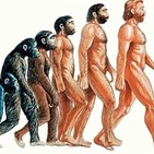 203.- La mochila evolutiva: lo que tenemos de serie.