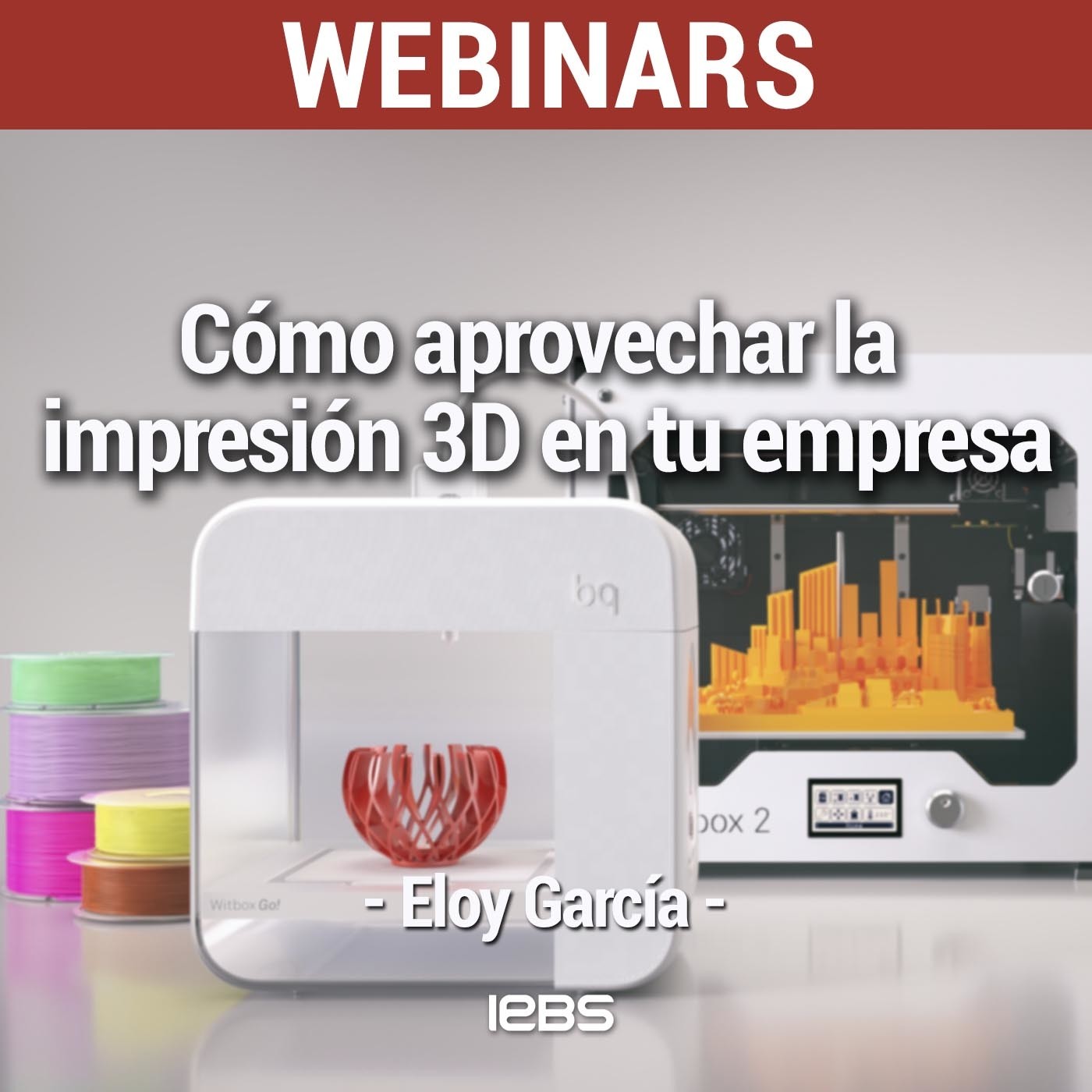 Webinars IEBS