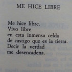 Poetas en femenino