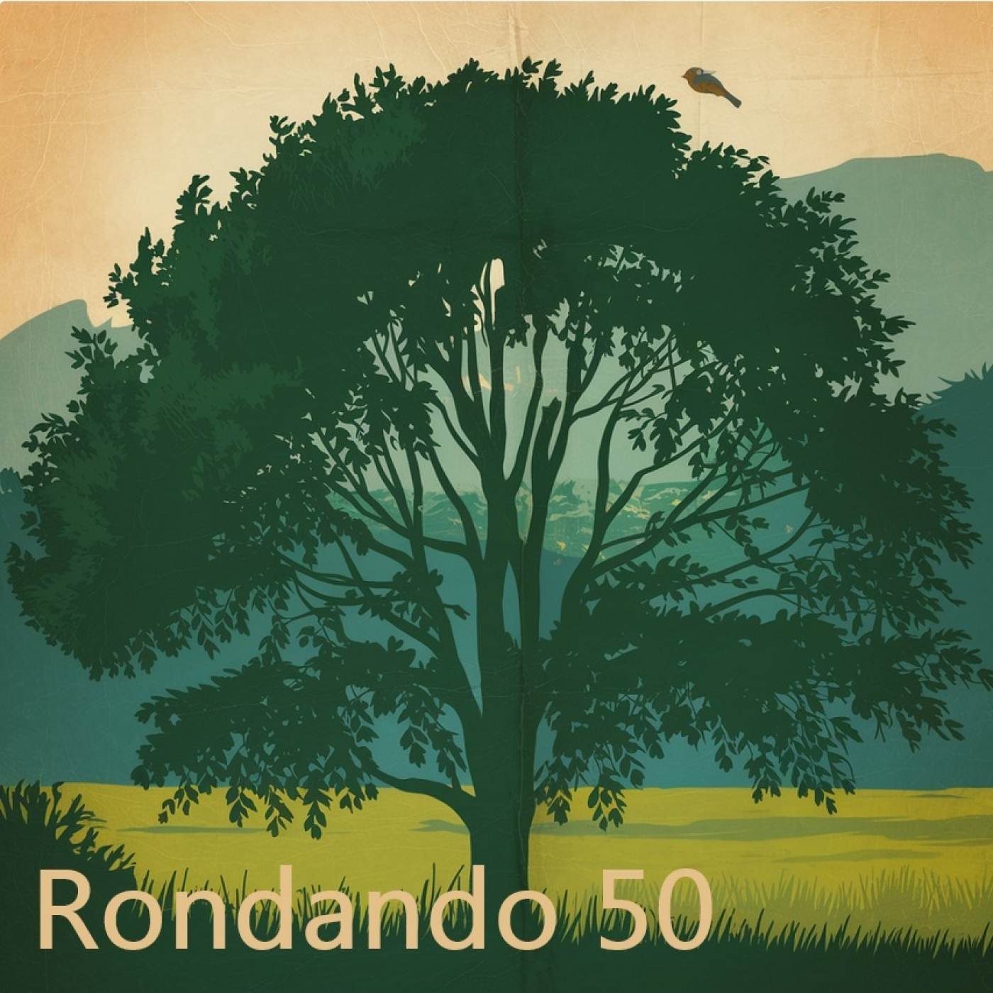 Rondando