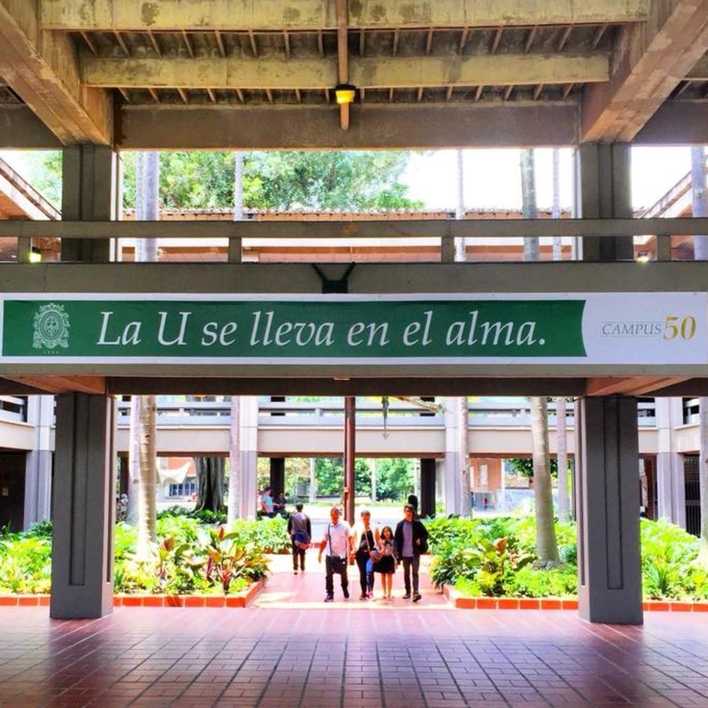 Programa Guia Cultural Univers