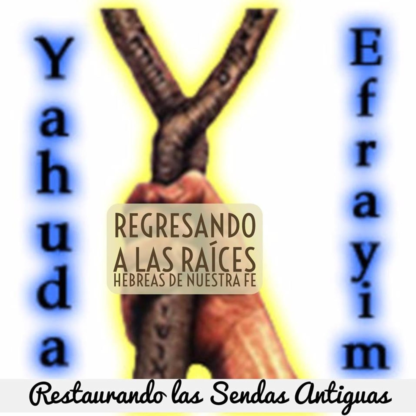 Enseñanzas