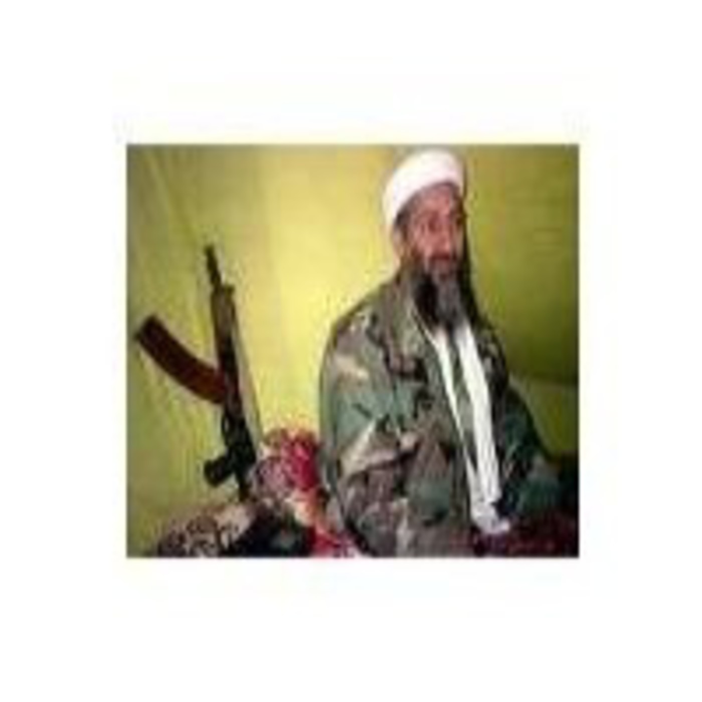 Objetivo Osama Bin Laden