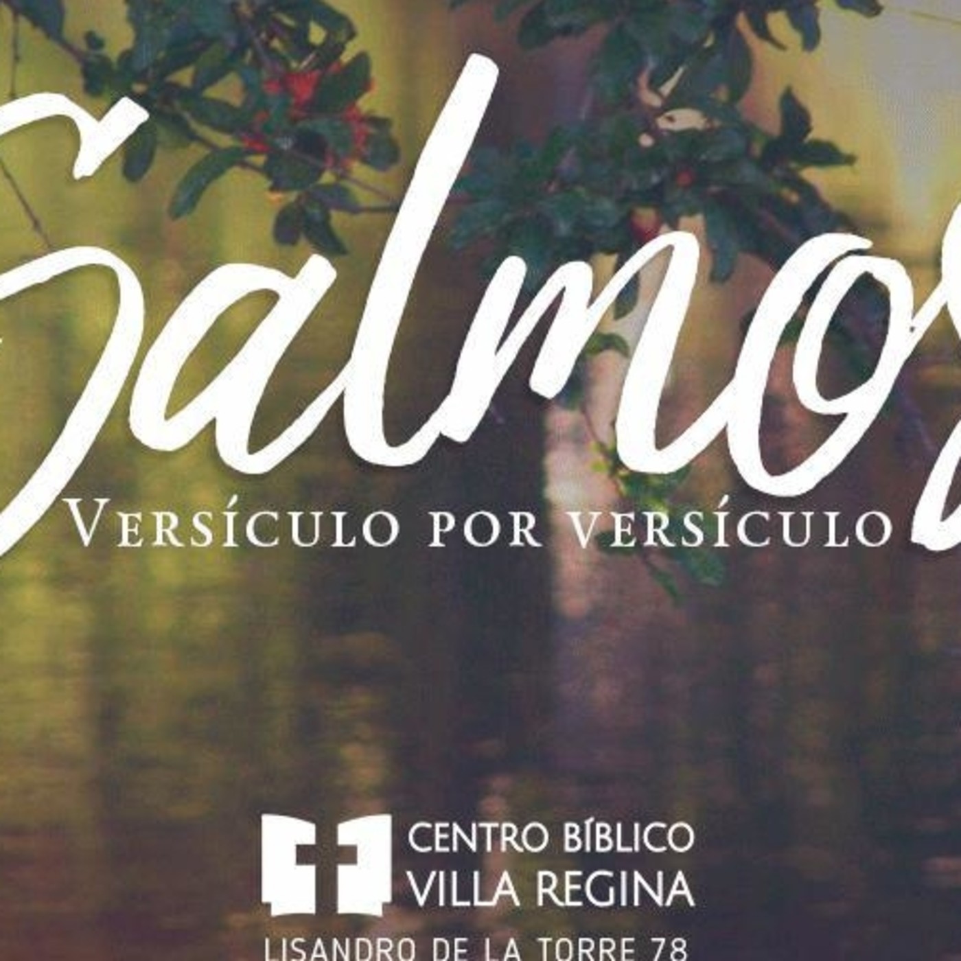 Salmos, versículo por versículo