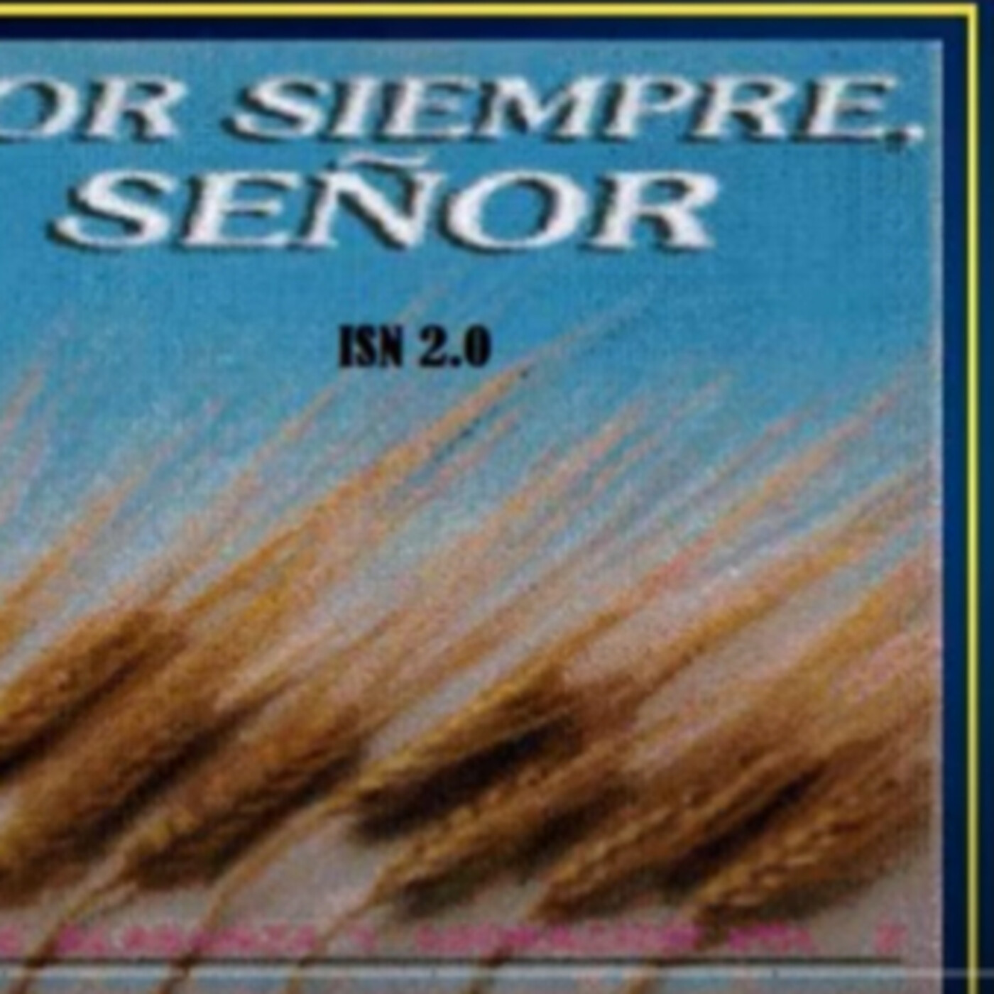 RADIO PRAISE MUSIC Y CDS