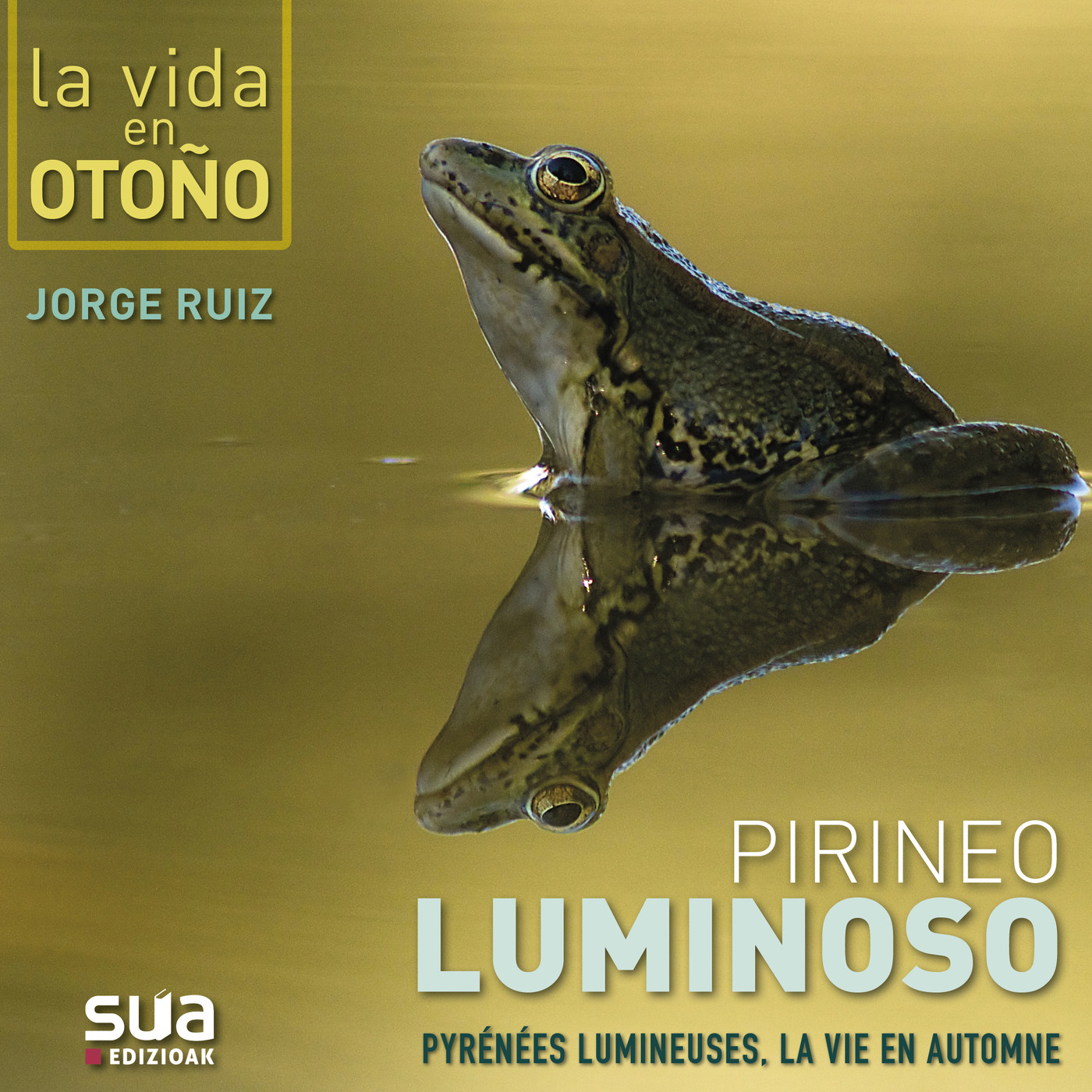 Amigos Museo Nacional de Ciencias Naturales