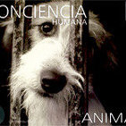 Conciencia animal 2