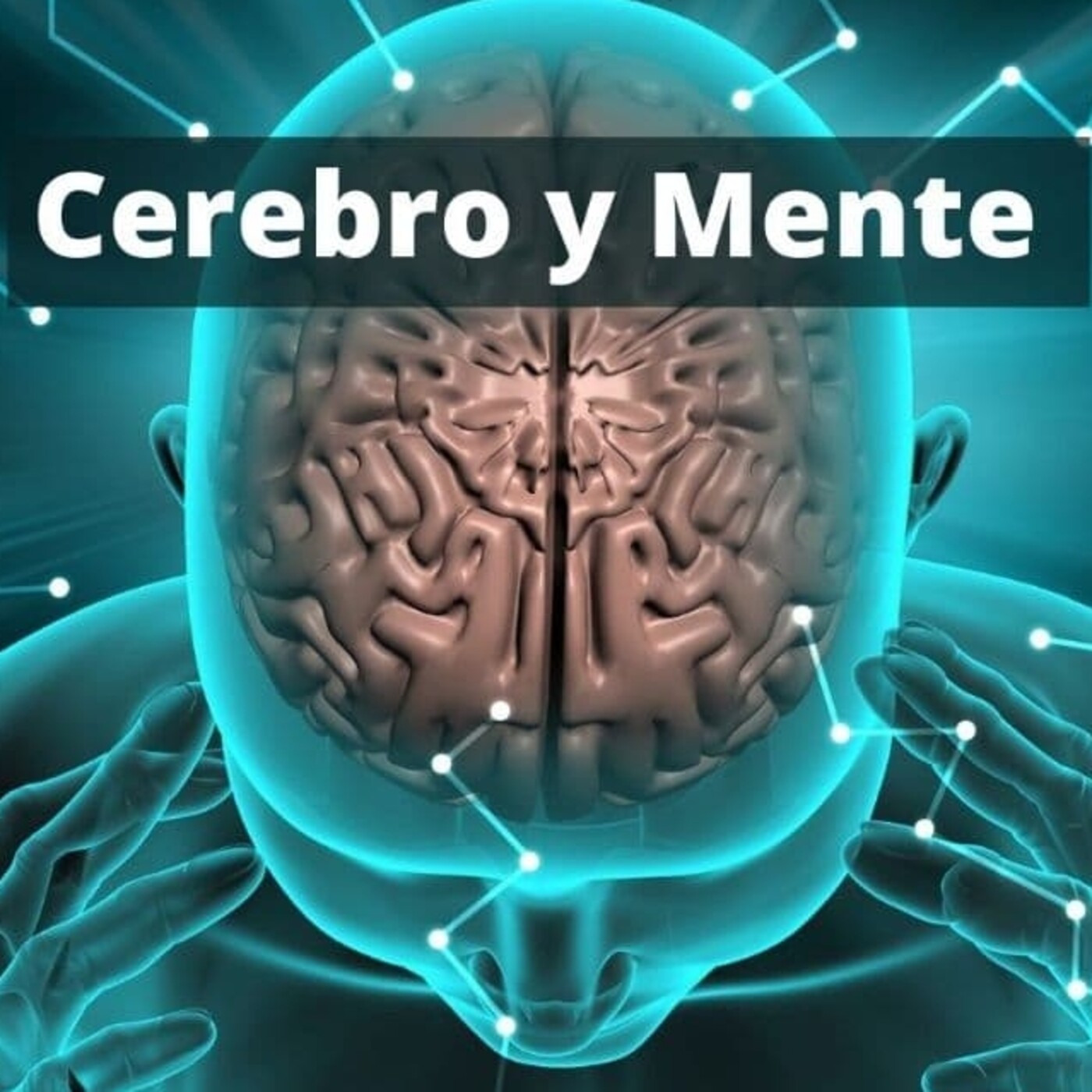 Res És El Que Sembla- Nada Es Lo Que Parece