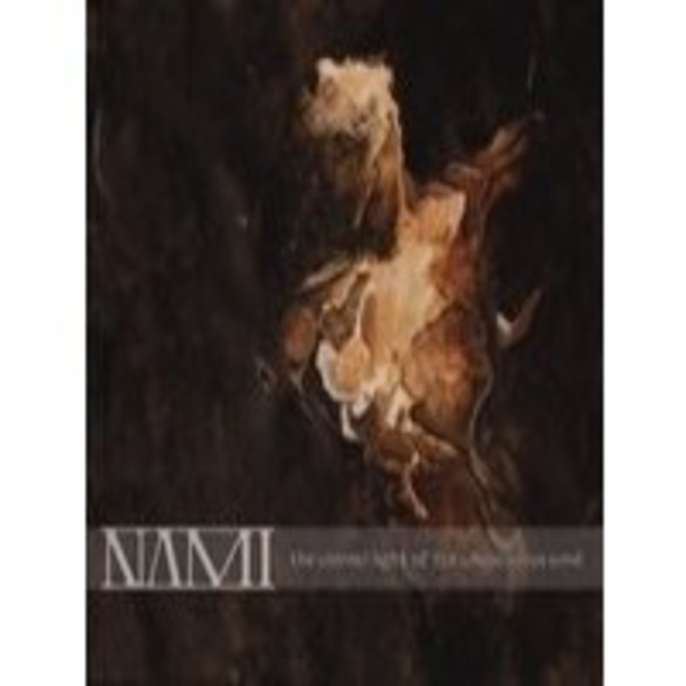 929 - Nami - Granada Goblin episode artwork