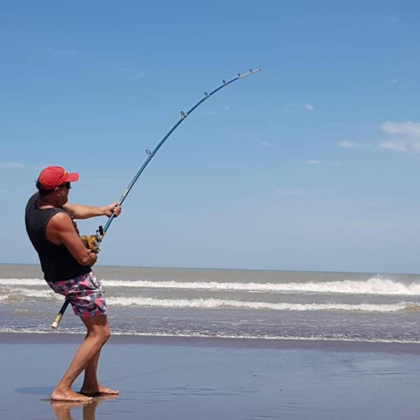 INFOPESCA MDQ