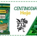 El Ángel de tu Salud - CENTINODIA*