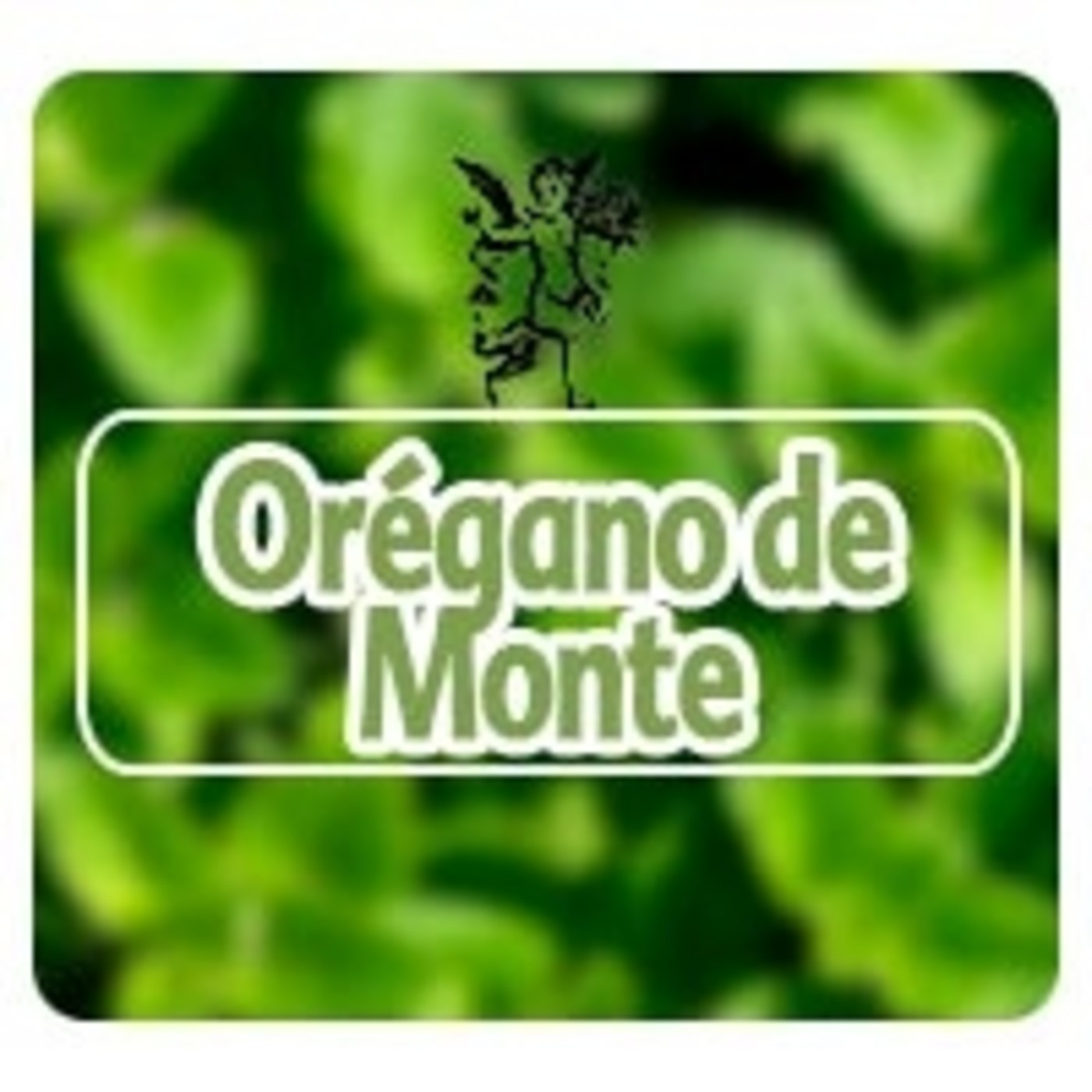 El Angel de tu Salud - ORÉGANO DE MONTE**