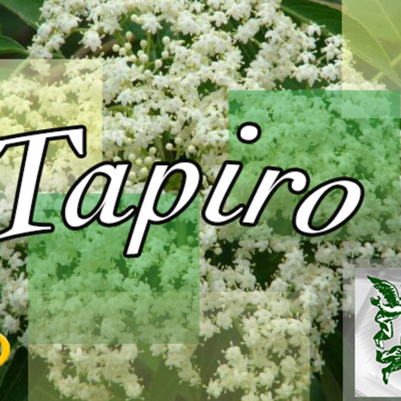 El Ángel de tu Salud - TAPIRO