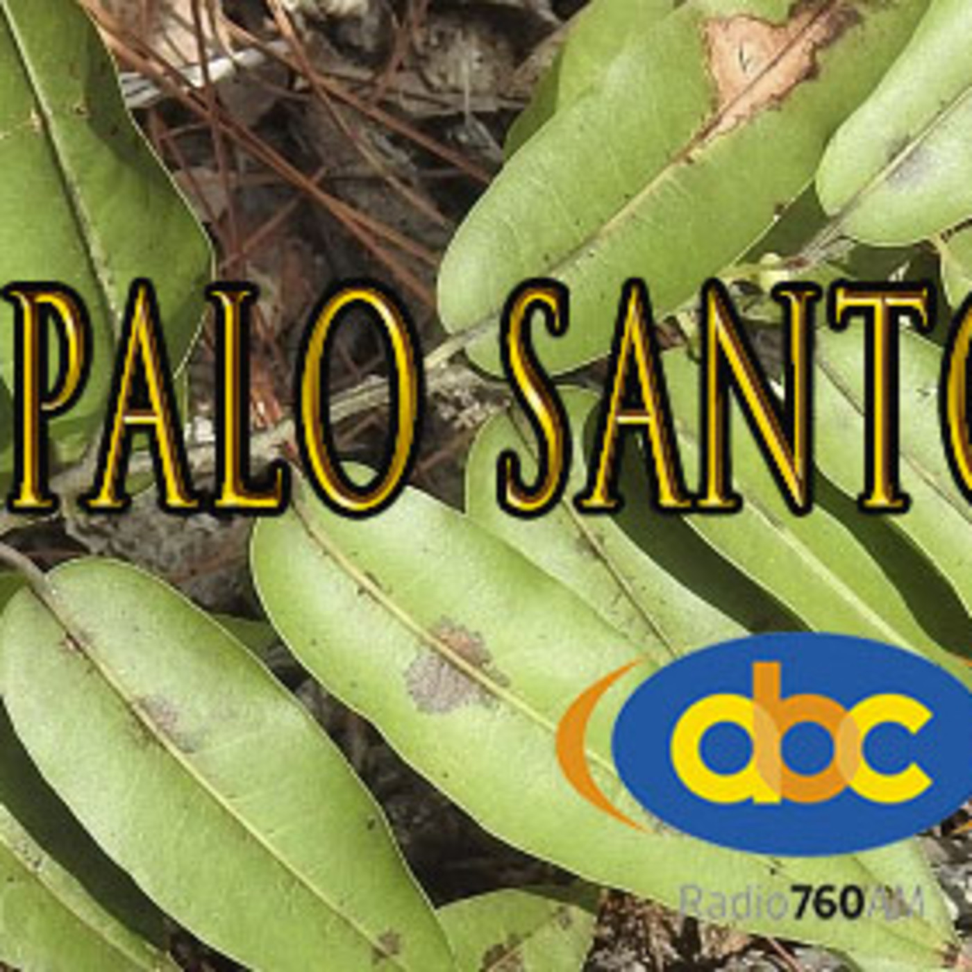 El Ángel de tu Salud - PALO SANTO I episode artwork