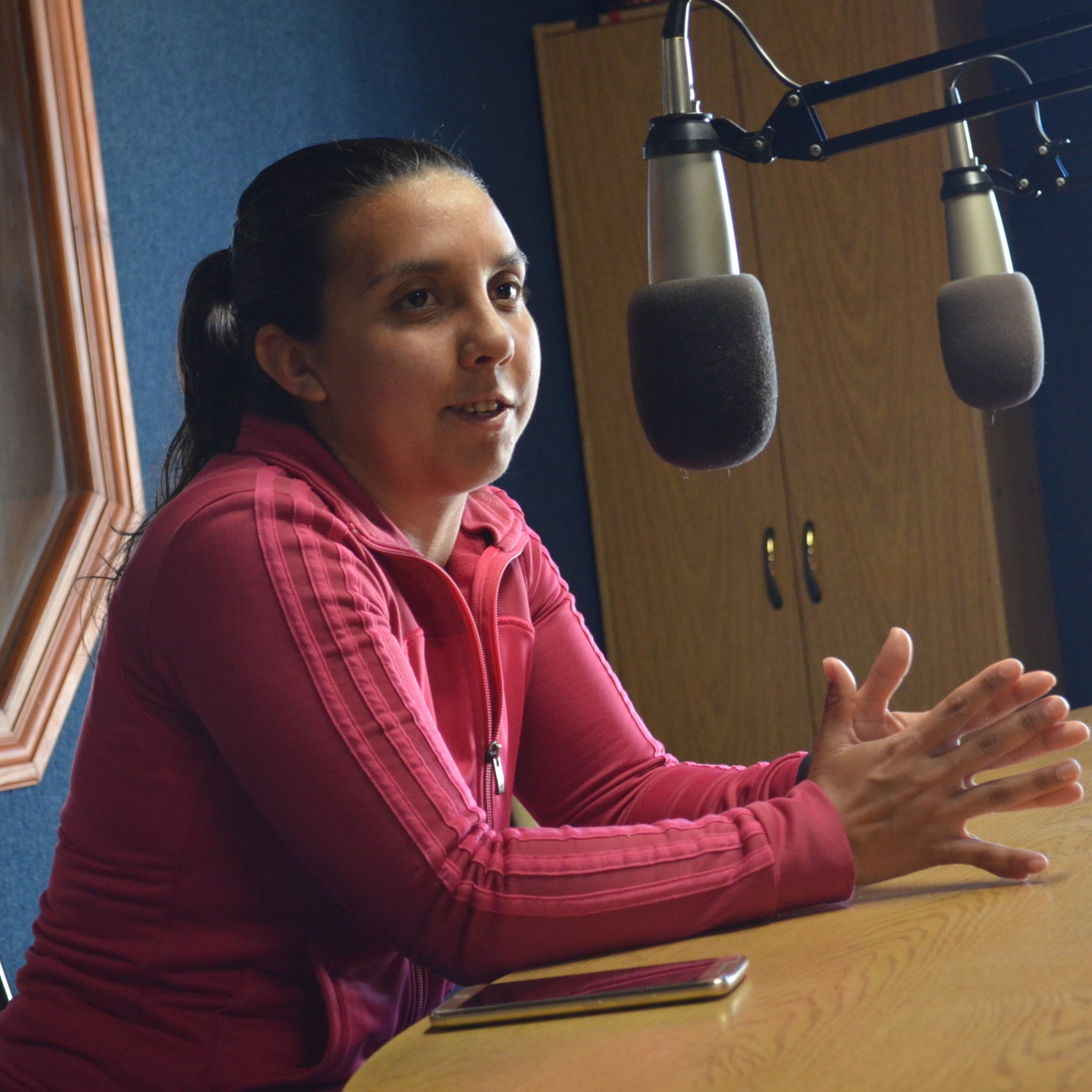 Radio Alcira Gigena